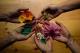 5 Reasons To Use Herbal Colors For Holi 